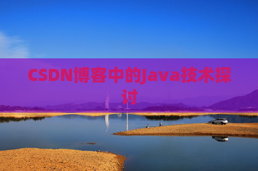 CSDN博客中的Java技术探讨